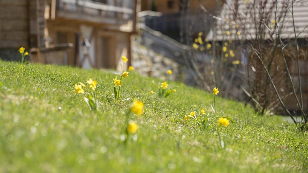 Chaletdorf Bergherz Sankt Johann im Pongau Kültér fotó